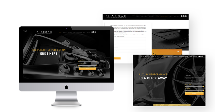 custom wordpress website