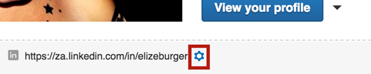 Linkedin Profile Edit