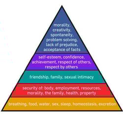 maslow's hierarchy of needs