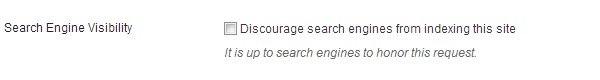 Search Engine Visibility