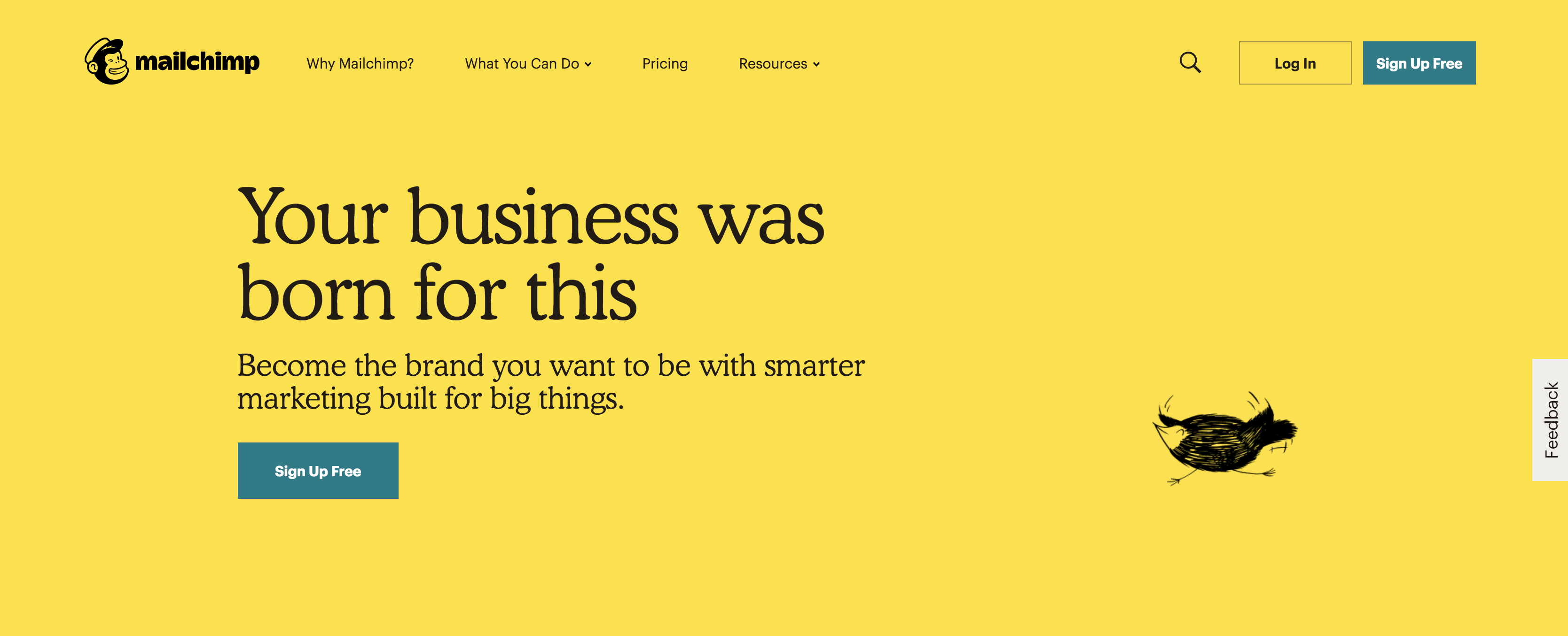 MailChimp Email Automation Software