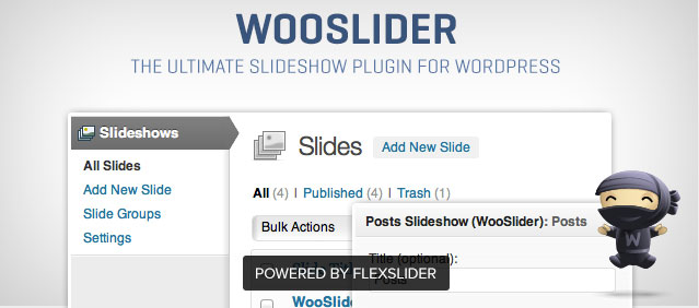 Wooslider Plugin
